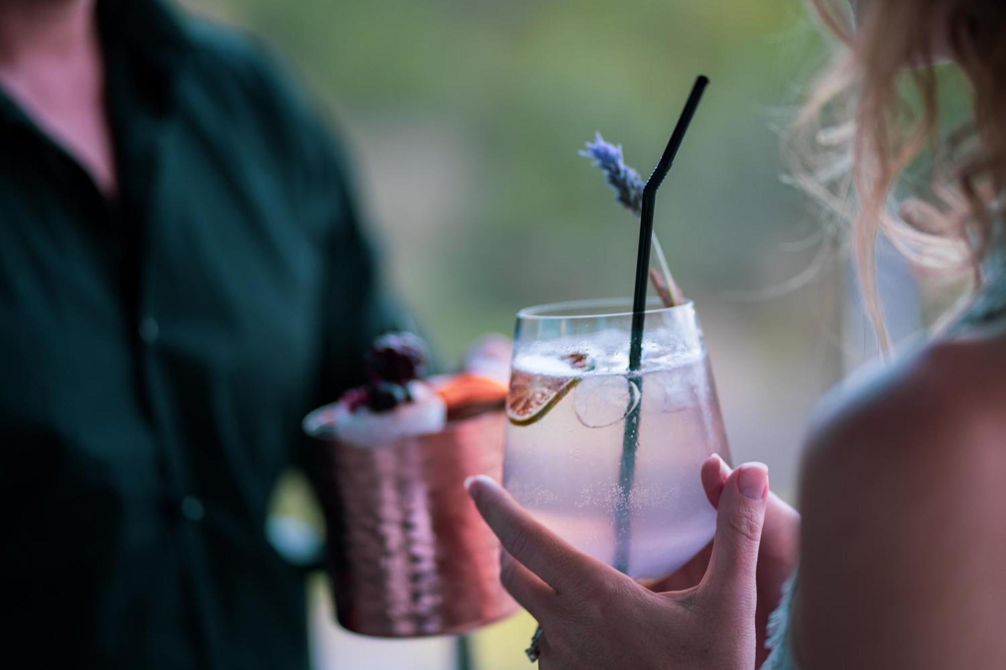 Monchique Resort & Spa Eksteriør bilde A lavender cocktail